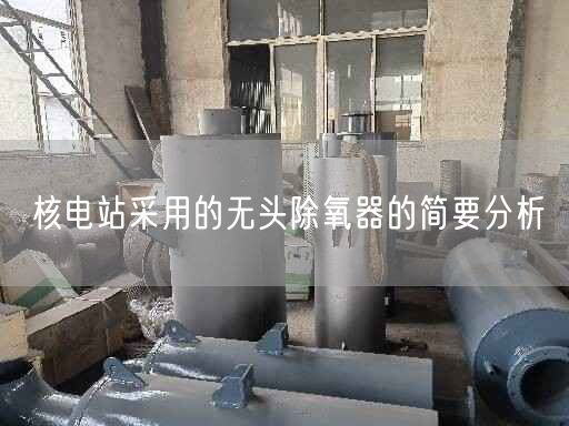 核電站采用的無(wú)頭除氧器的簡(jiǎn)要分析