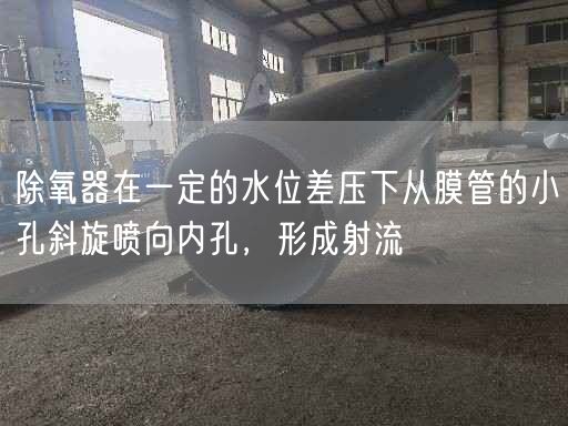 除氧器在一定的水位差壓下從膜管的小孔斜旋噴向內(nèi)孔，形成射流