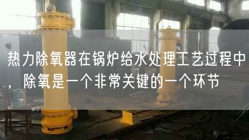 熱力除氧器在鍋爐給水處理工藝過程中，除氧是一個非常關(guān)鍵的一個環(huán)節(jié)